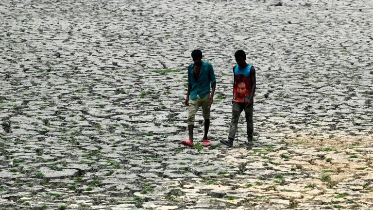 Ondas de calor: regiões inteiras se tornarão inabitáveis nas próximas décadas, alertam ONU e Cruz Vermelha