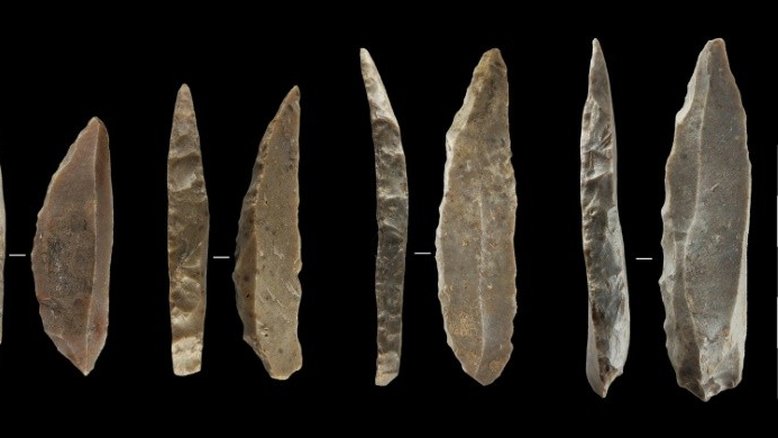 Neandertais e humanos coexistiram durante mais de dois mil anos