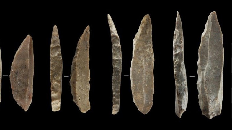 Neandertais e humanos coexistiram durante mais de dois mil anos