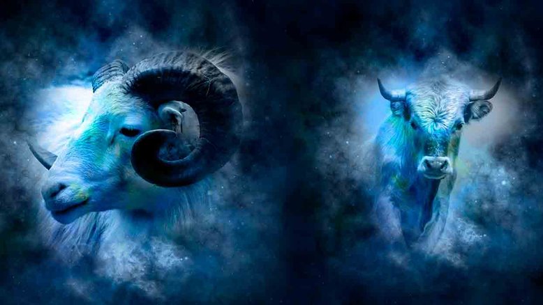 Combinação de signos – Áries e Touro . Foto: Pixabay