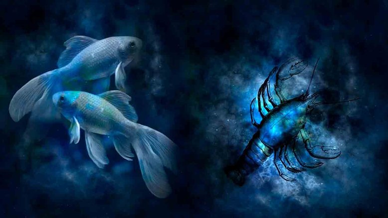 Combinação de signos – Peixes e Escorpião . Foto: Pixabay