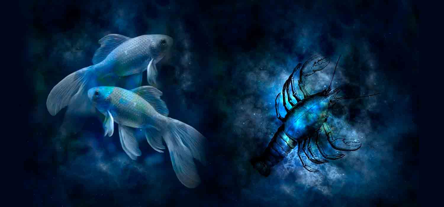 Combinação de signos – Peixes e Escorpião . Foto: Pixabay