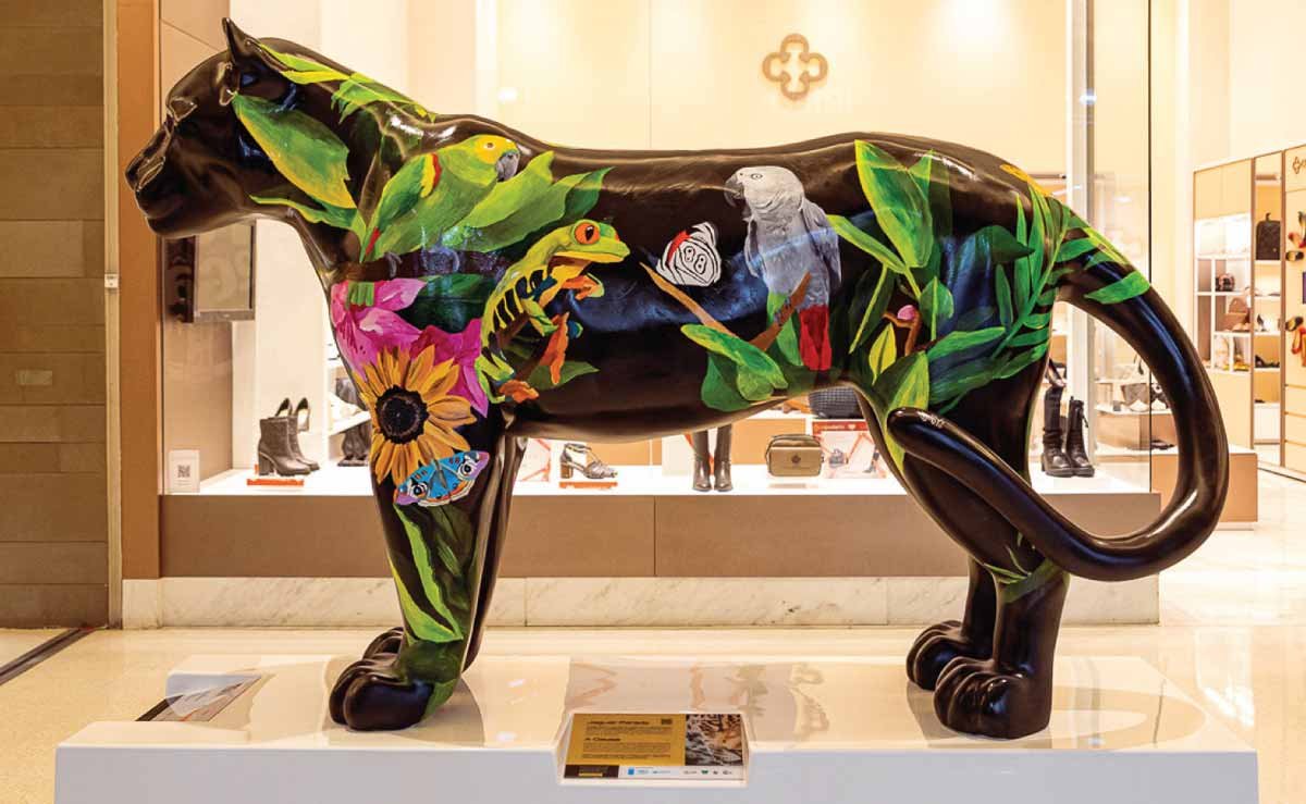 MB firma parceria para apoiar o projeto Jaguar Friends