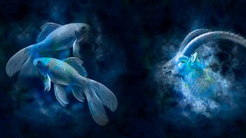 Combinação de signos – Peixes e Capricórnio . Foto: Pixabay