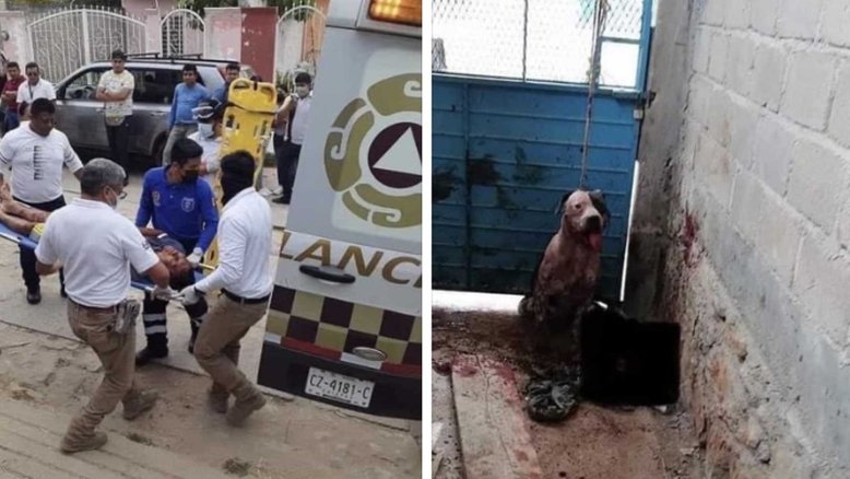 Reprodução/ redes sociais