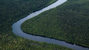 Vista aérea da Amazônia tirada durante voo entre as cidades de Manicore e Manaus, no Amazonas State, em 10 de junho de 2022 - AFP/Arquivos