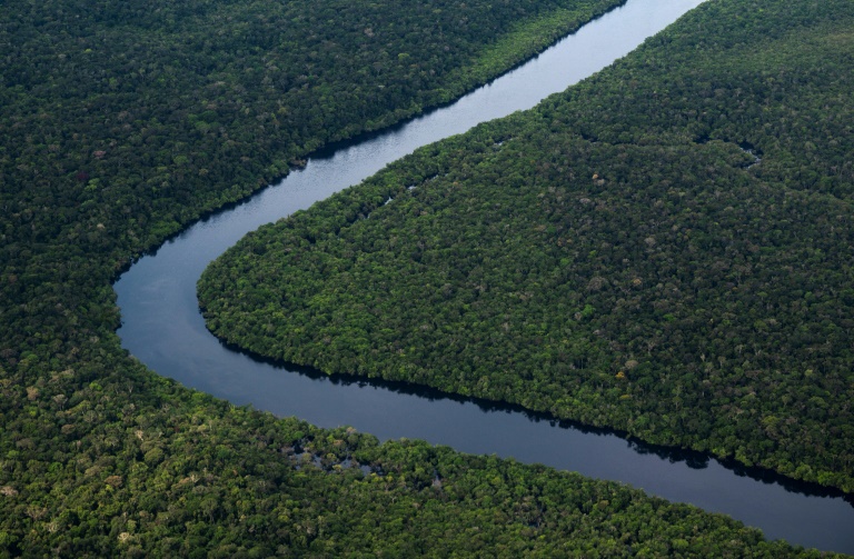 Vista aérea da Amazônia tirada durante voo entre as cidades de Manicore e Manaus, no Amazonas State, em 10 de junho de 2022 - AFP/Arquivos