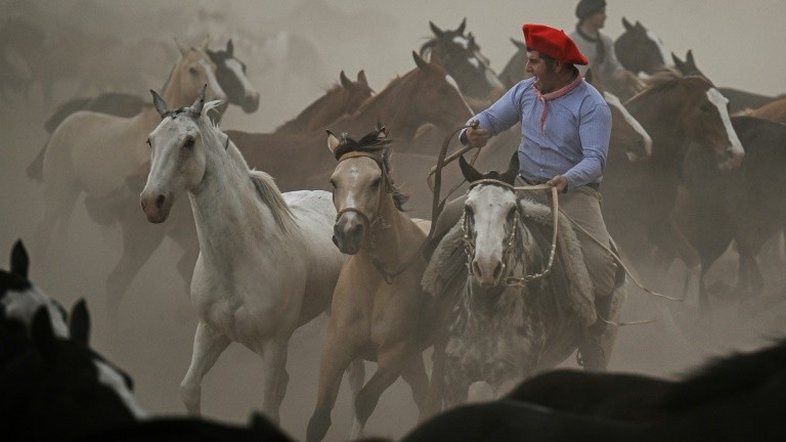 O gaúcho sobrevive no século 21 como símbolo rebelde e esquivo