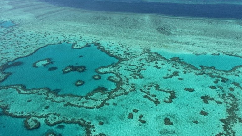 Deterioração da Grande Barreira de Coral continua, segundo Unesco