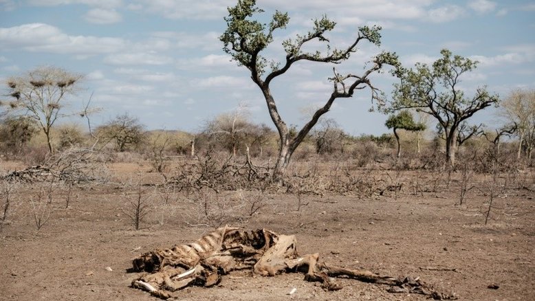 Fundação Gates doará US$ 1,4 bilhão a agricultores na África e Ásia pela mudança climática