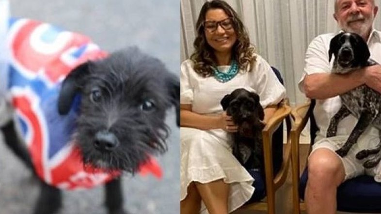 Conheça 'Resistência', cadela que deve fazer parte da cerimônia de posse de Lula