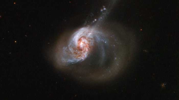 NGC 1614 é uma galáxia de forma excêntrica. Ela está a cerca de 200 milhões de anos-luz da Terra, na austral Constelação de Eridanus. NGC 1614 é o resultado de uma fusão galáctica que criou sua aparência peculiar. A colisão cósmica também gerou um fluxo turbulento de gás interestelar, da menor das duas galáxias para o núcleo da maior, resultando em uma explosão de formação estelar. Devido ao seu passado turbulento e sua aparência atual, NGC 1614 é peculiar: é uma galáxia de explosão estelar e, ao mesmo tempo, uma galáxia infravermelha luminosa. As infravermelhas luminosas estão entre os objetos mais brilhantes do universo local