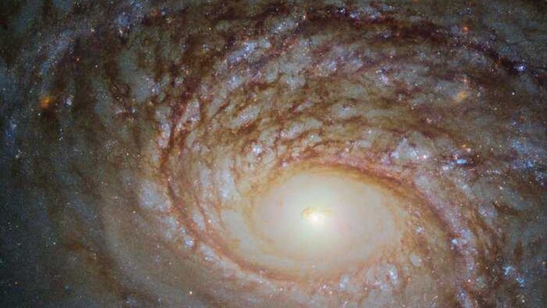 A galáxia espiral NGC 772 tem muito em comum com a nossa Via Láctea: braços em espiral, um centro brilhante, uma mistura de manchas cintilantes de formação estelar e ondulações escuras de poeira cósmica. No entanto, as duas também são diferentes em alguns aspectos importantes. NGC 772 é uma galáxia espiral peculiar e não barrada, ou seja, ela não tem uma característica fundamental conhecida como barra, que vemos em muitas galáxias em todo o cosmos, incluindo a Via Láctea. Essas barras são constituídas de gás e estrelas e acredita-se que transportem material através do núcleo galáctico, o que alimenta e inicia vários processos, como a formação de novas estrelas. NGC 772 está a cerca 110 milhões de anos-luz de distância, na Constelação de Áries