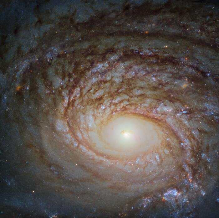 A galáxia espiral NGC 772 tem muito em comum com a nossa Via Láctea: braços em espiral, um centro brilhante, uma mistura de manchas cintilantes de formação estelar e ondulações escuras de poeira cósmica. No entanto, as duas também são diferentes em alguns aspectos importantes. NGC 772 é uma galáxia espiral peculiar e não barrada, ou seja, ela não tem uma característica fundamental conhecida como barra, que vemos em muitas galáxias em todo o cosmos, incluindo a Via Láctea. Essas barras são constituídas de gás e estrelas e acredita-se que transportem material através do núcleo galáctico, o que alimenta e inicia vários processos, como a formação de novas estrelas. NGC 772 está a cerca 110 milhões de anos-luz de distância, na Constelação de Áries
