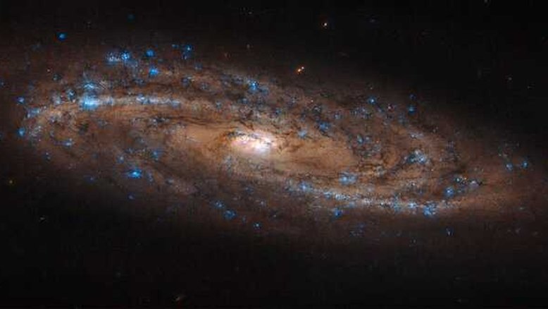 A galáxia espiral NGC 4100 possui uma estrutura elegante e braços adornados com o tom azul brilhante de estrelas recém-formadas. Catalogada inicialmente pelo astrônomo William Herschell, em 1788, NGC 4100 é parte do Aglomerado da Ursa Maior, um grupo rico em galáxias espirais e que é parte do Superaglomerado de Virgem. NGC 4100 está a aproximadamente 65 milhões de anos luz de distância, na direção da Constelação da Ursa Maior.