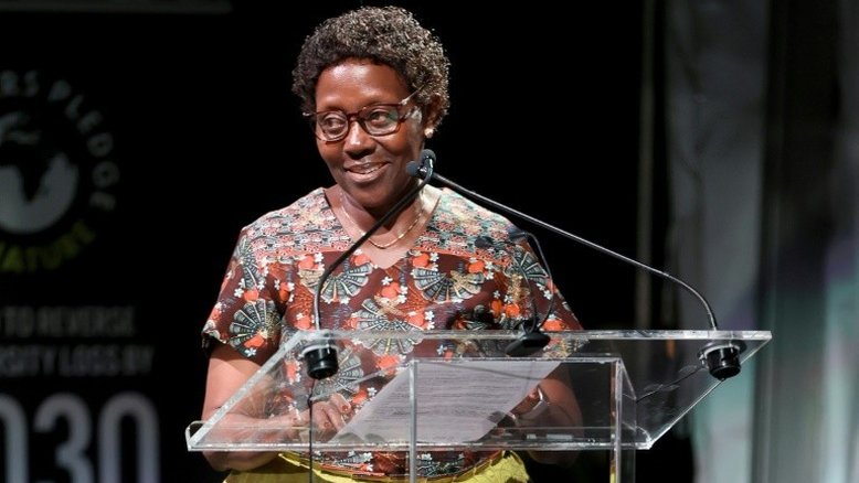 COP15: É 'urgente agir' também pela biodiversidade, alerta ONU