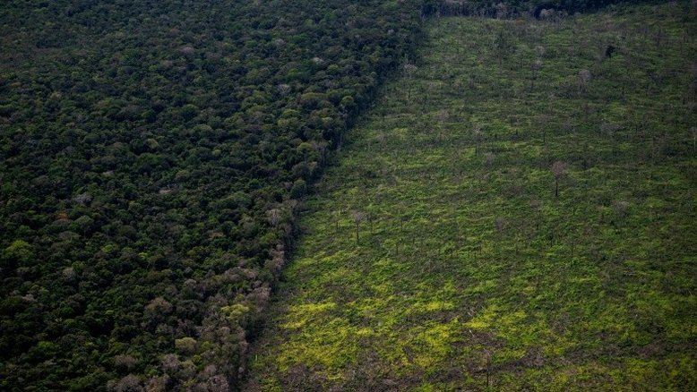 ONGs rejeitam mediação com grupo francês Casino por desmatamento na Amazônia