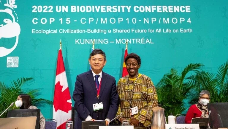 Países aprovam acordo histórico sobre biodiversidade