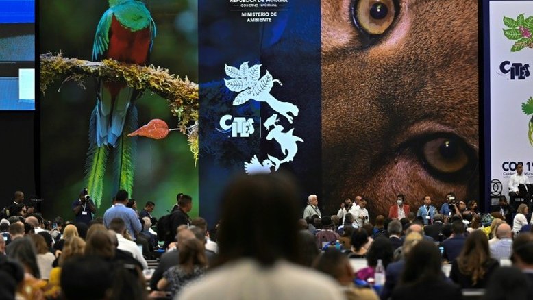 Centenas de presos em operação da Interpol contra comércio  de animais silvestres