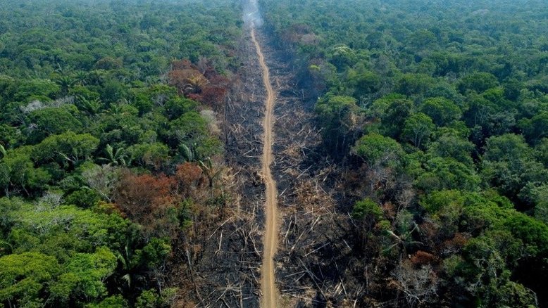 Desmatamento no Cerrado aumenta 25% em um ano