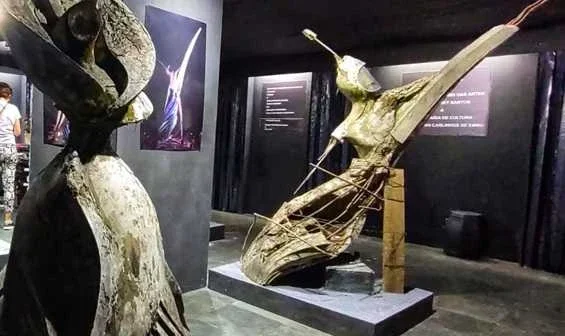 As peças de Z