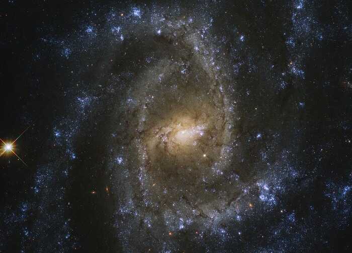 Os padrões de torção criados pelos múltiplos braços espirais do NGC 2835 criam a ilusão de um olho. Esta magnífica galáxia reside perto da cabeça da Constelação da Hidra, a serpente aquática, a uma distância de aproximadamente 35 milhões de anos-luz. NGC 2835 é uma galáxia espiral barrada, com uma largura de pouco mais da metade da Via Láctea. Abrigando um buraco negro supermassivo com uma massa de milhões de vezes a do nosso Sol em seu centro, NGC 2835 tem forte presença de gás frio e denso que produz um grande número de estrelas jovens. As áreas azuis brilhantes indicam formação estelar recente ou em andamento