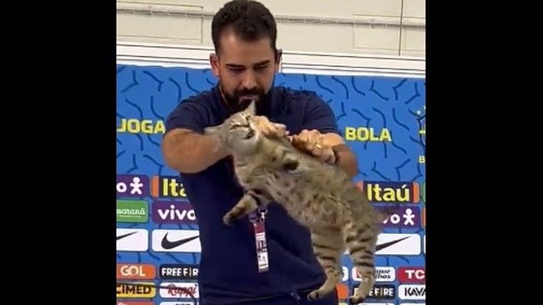 Reprodução