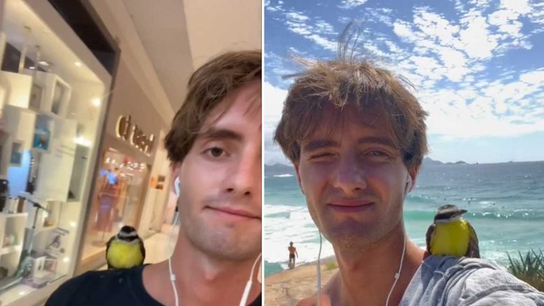 Reprodução/ TikTok