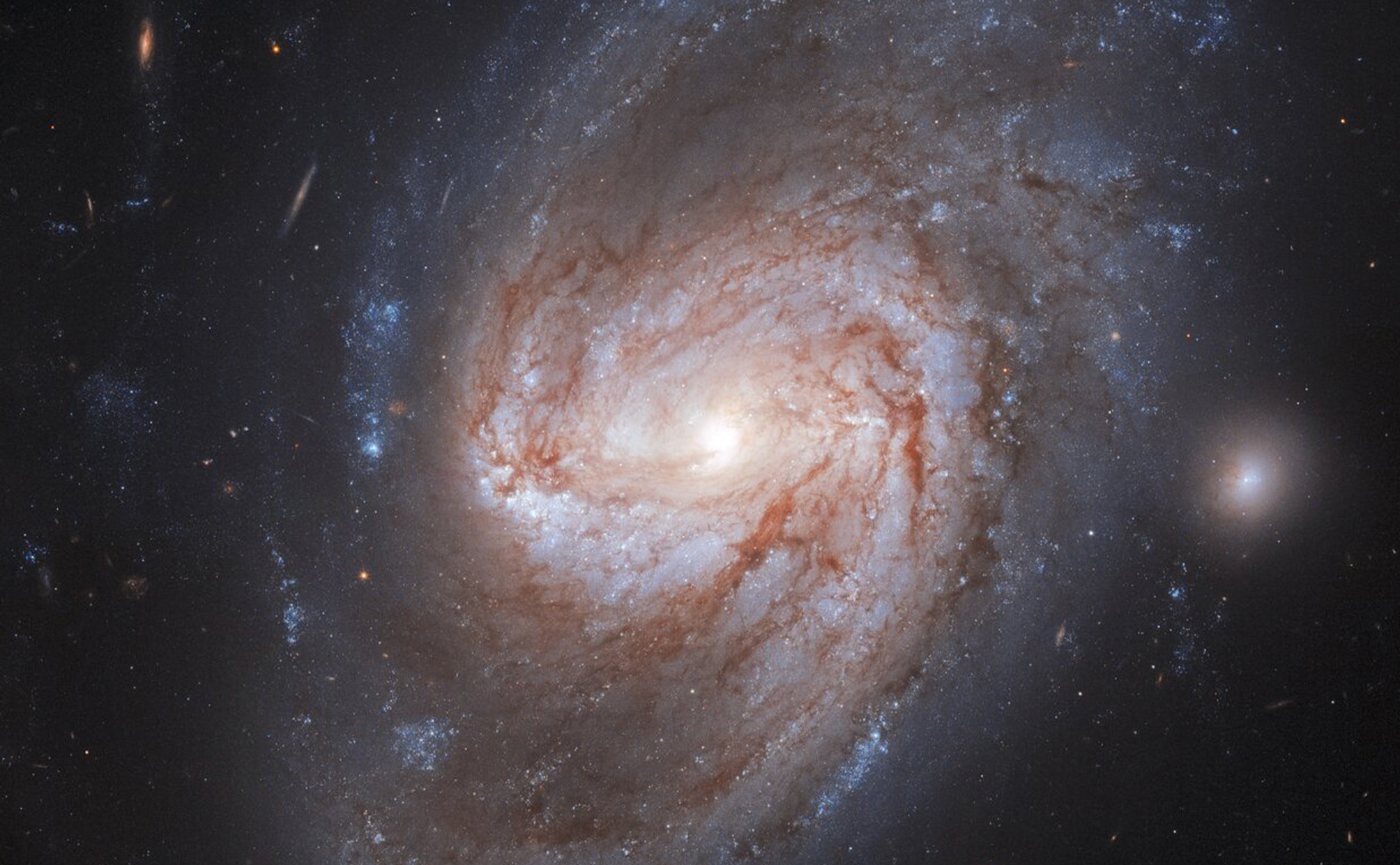 NGC 3583 é uma galáxia espiral barrada, localizada a 98 milhões de anos-luz da Via Láctea, na direção da Constelação da Ursa Maior. Duas supernovas foram identificadas nela, a primeira em 1975 e outra, mais recentemente, em 2015. Essas explosões evoluíram de dois sistemas estelares binários independentes. Em ambos os casos, o remanescente de uma estrela parecida com o Sol, que recebe o nome de anã branca, estava coletando material de sua estrela companheira. Alimentando-se de sua parceira, a anã branca atingiu sua massa máxima, entrando em colapso para explodir em uma brilhante supernova