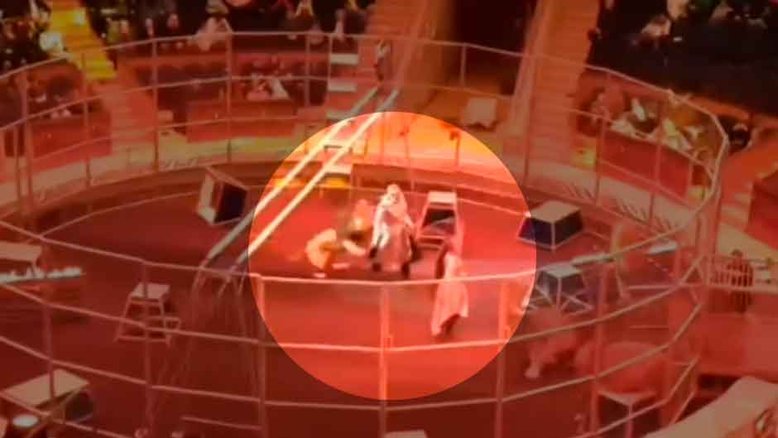 VÍDEO: Esposa salva a vida de domador atacado por leão na Rússia. Foto: Reprodução Facebook