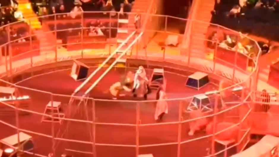 VÍDEO: Esposa salva a vida de domador atacado por leão na Rússia. Foto: Reprodução Facebook