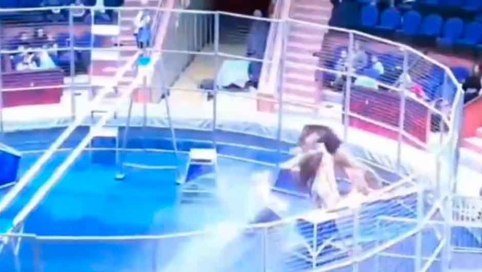 VÍDEO: Esposa salva a vida de domador atacado por leão na Rússia. Foto: Reprodução Facebook