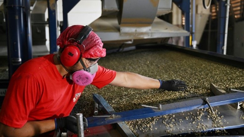 Desemprego no Brasil cai para 8,1% e chega ao menor índice em sete anos