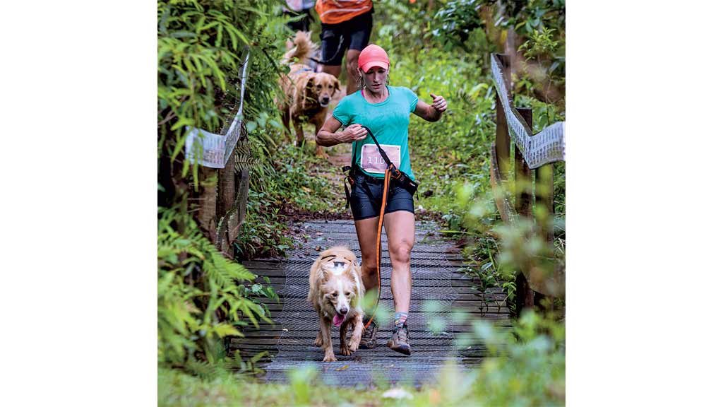 Atividades esportivas para cães ganham espaço no Brasil