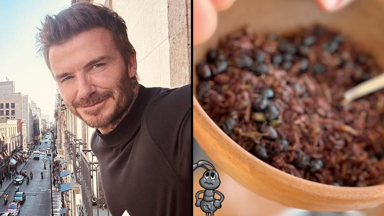 David Beckham mostra prato com insetos em viagem ao México: ‘Bom estar de volta’