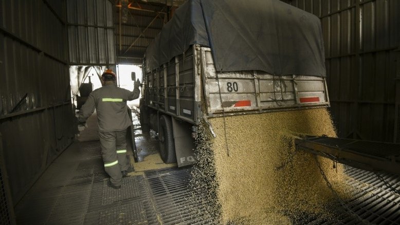 Cepal projeta aumento de 20% no volume exportado pela América Latina em 2022
