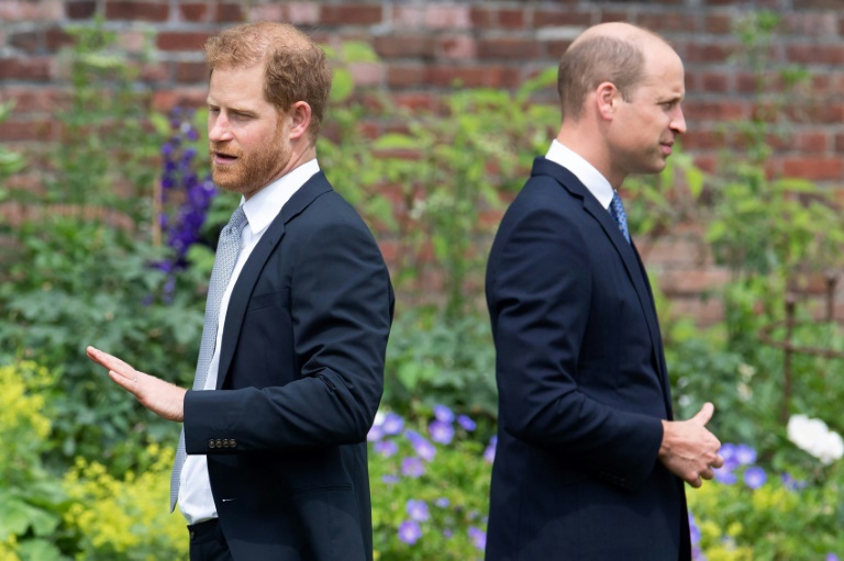 Com coroação de Charles III próxima, brigas entre William e Harry preocupam Palácio