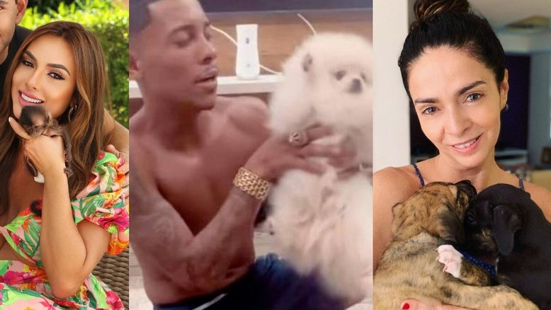 Nicole Bahls, MC Poze do Rodo e mais: famosos que já se envolveram em polêmicas com animais