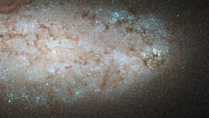 NGC 2976 não se parece com uma galáxia espiral típica. Nesta imagem de sua região interna, não há braços espirais óbvios. A interação de NGC 2976 com um grupo vizinho de galáxias fez com que parte de seu gás fosse canalizado para a região interna, alimentando o nascimento de estrelas, há cerca de 500 milhões de anos. Nas regiões externas, a galáxia parou de produzir estrelas porque o gás acabou. Agora, o disco interno está quase sem gás, à medida que novas estrelas ganham vida, encolhendo a região de formação estelar para uma pequena área de cerca de 5 mil anos-luz ao redor do núcleo. Os pontos azulados na imagem são estrelas gigantes azuis incipientes. NGC 2976 é parte do grupo de galáxias M81, localizado a cerca de 12 milhões de anos-luz de distância, na Constelação da Ursa Maior