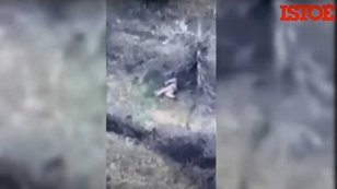 Vídeo mostra russos desesperados se escondendo entre corpos na guerra