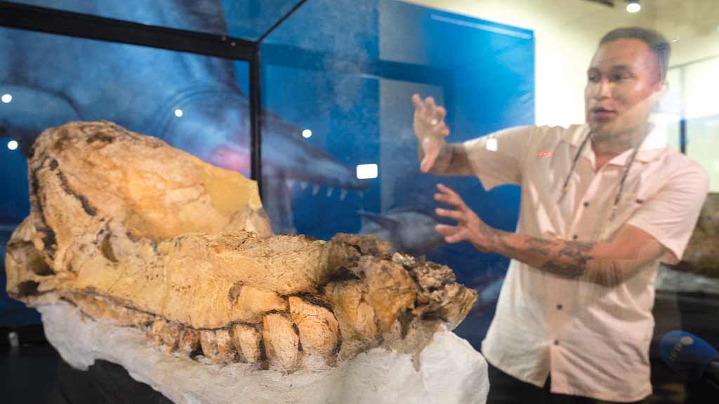 Foi encontrado no Peru o fóssil mais bem conservado da história da arqueologia