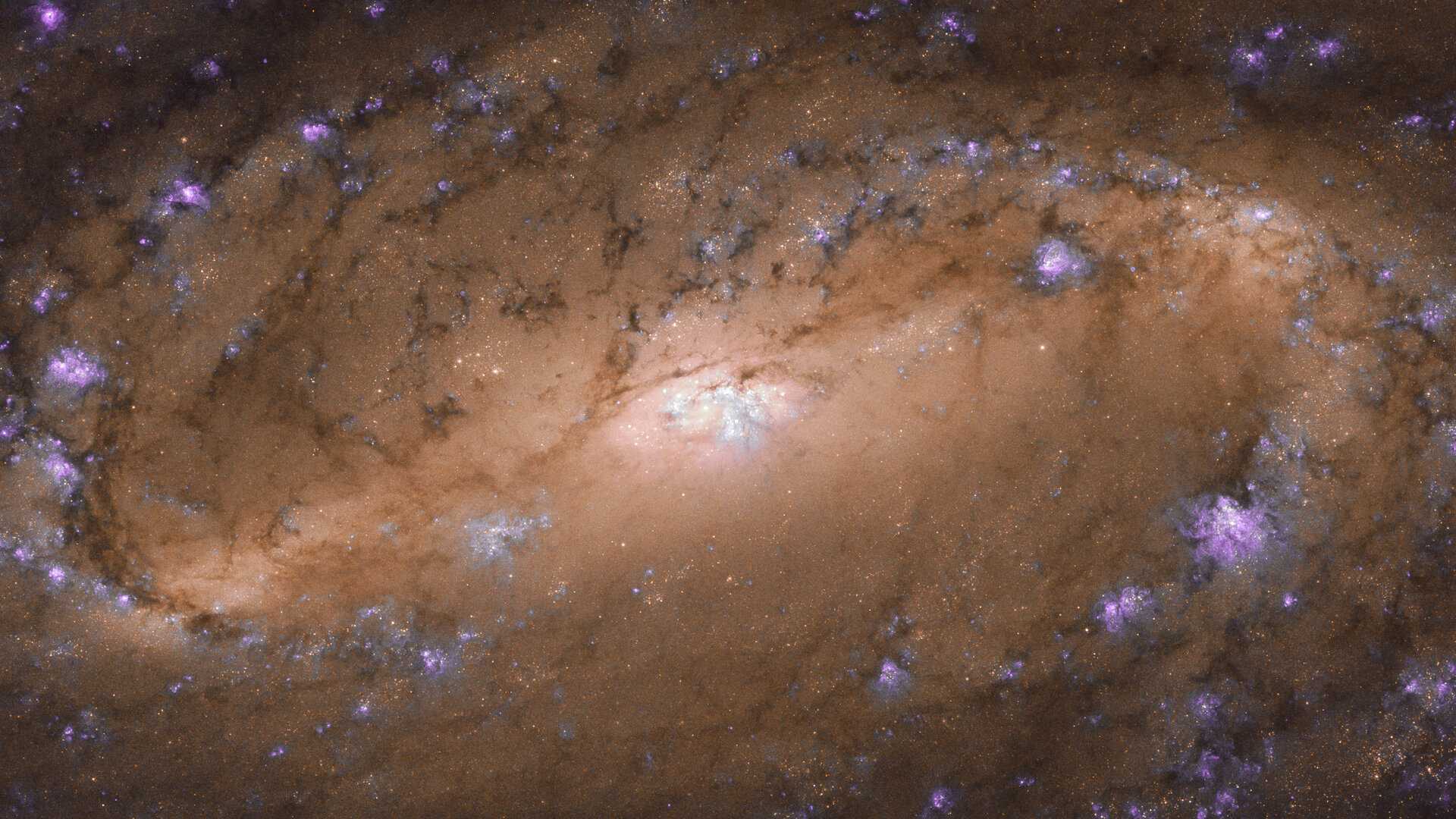 Poucos objetos no Universo são tão icônicos quanto as galáxias espirais. Monopolizando os holofotes, elas combinam braços giratórios, estrelas cintilantes, explosões brilhantes de gás e faixas escuras de poeira cósmica. Esta é NGC 2903, que está localizada a cerca de 30 milhões de anos-luz de distância, na Constelação de Leão. Ela foi estudada em meio a uma pesquisa sobre as regiões centrais de aproximadamente 145 galáxias. O estudo teve como objetivo entender melhor a relação entre os buracos negros nos núcleos de galáxias, seus bulbos, estrelas, gás e poeira que seguem a formação típica que se vê nesta imagem