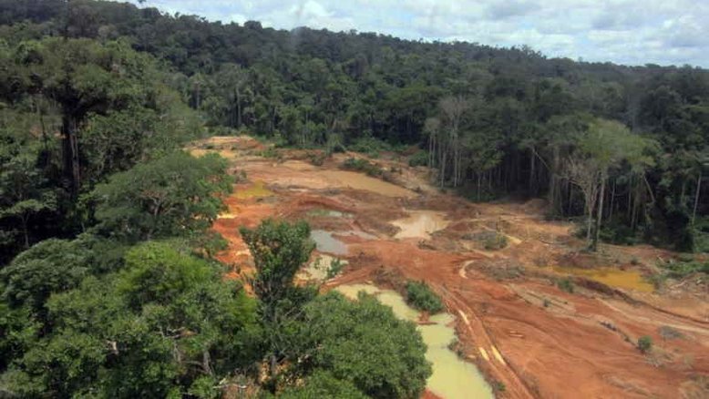 Amazônia brasileira perdeu 21 árvores por segundo em 2022
