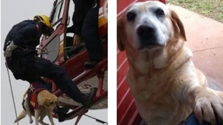 Divulgação/Corpo de Bombeiros