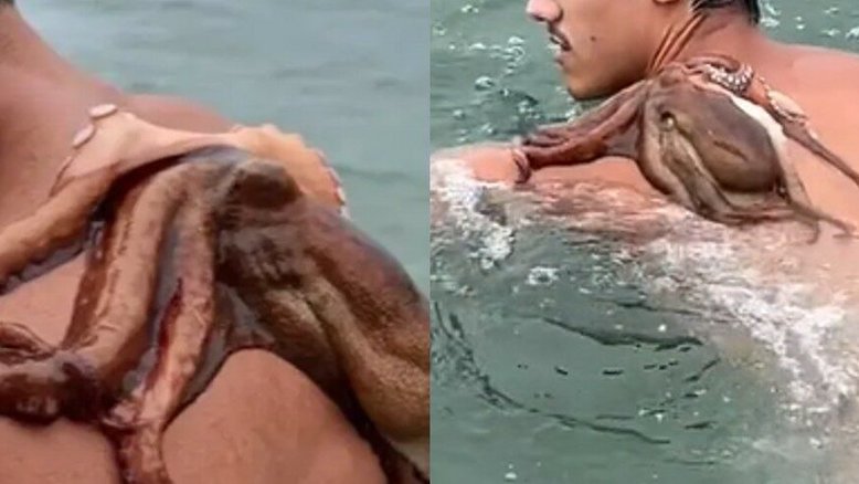 Reprodução/TikTok