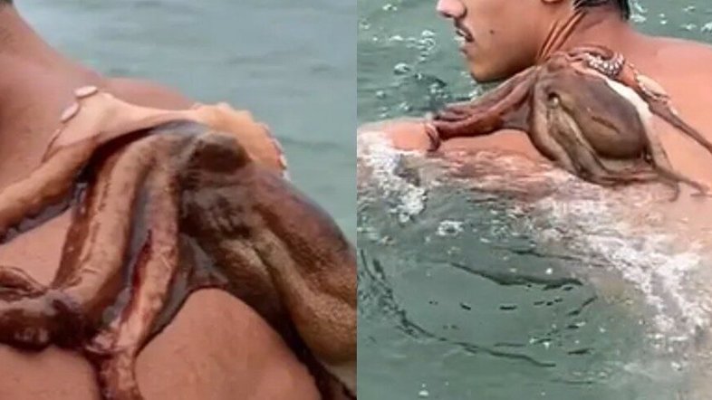 Reprodução/TikTok