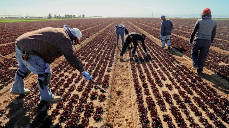 Estes 5 empregos colocam os trabalhadores em maior risco de demência, aponta pesquisa