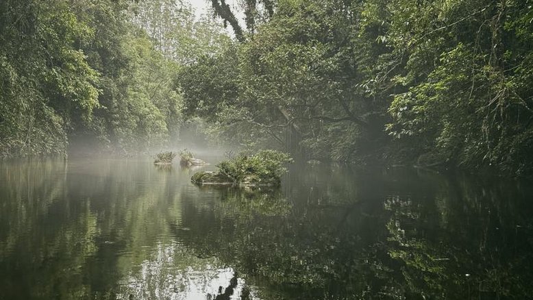 Você conhece o Parque das Neblinas em São Paulo?