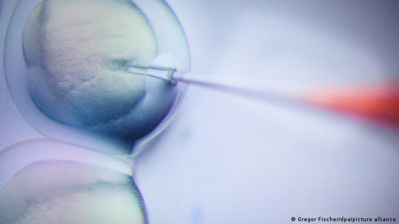 Bebês projetados geneticamente já são uma realidade