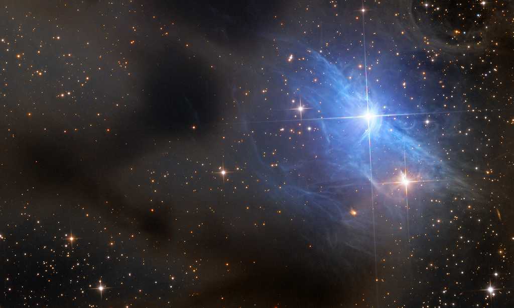Em meio à Constelação de Auriga, a bela e azul nebulosa de reflexão VdB 31 divide espaço com marcas escuras no céu. Todas são nuvens de poeira interestelar que bloqueiam a luz das estrelas de fundo. Para VdB 31, a poeira reflete preferencialmente a luz azulada da quente estrela variável AB Aurigae. A observação dos arredores de AB Aurigae com o Telescópio Espacial Hubble revelou que esta estrela de vários milhões de anos está cercada por um disco achatado de poeira, com evidências de que está em curso a formação de um sistema planetário. AB Aurigae fica a cerca de 470 anos-luz de distância da Terra